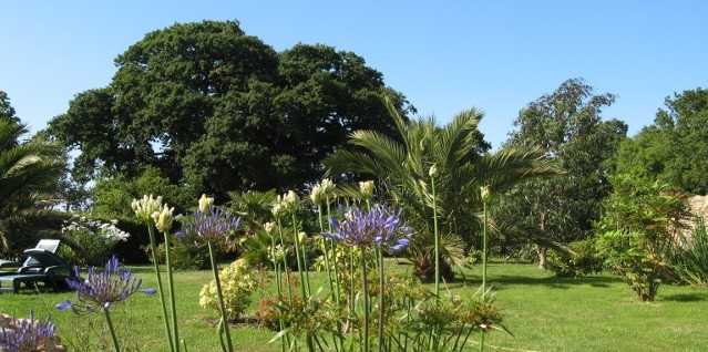 Jardin
